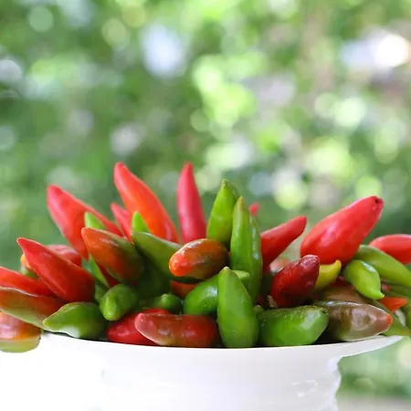 Villa Conca D'oro Gallipolli