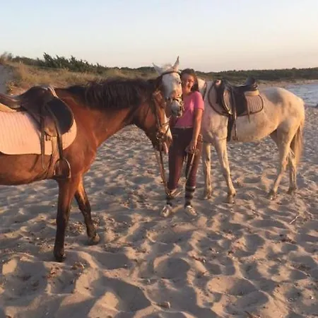 Conca D'oro Villa Gallipolli