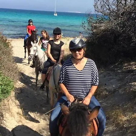 Conca D'oro Gallipolli