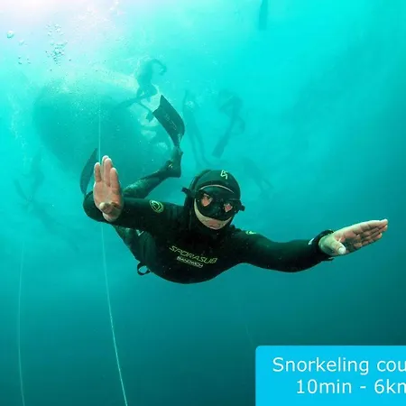 Conca D'oro Villa Gallipolli