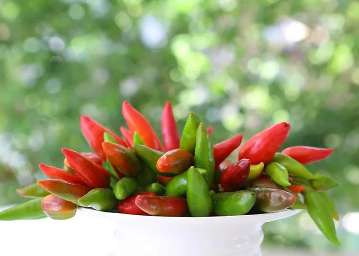 Willa Conca D'oro Gallipoli